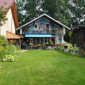 Dunavski Plicak- house on the Danube with a beautiful view
